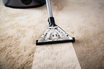 Cleaning Service Using Vacuum Cleaner
