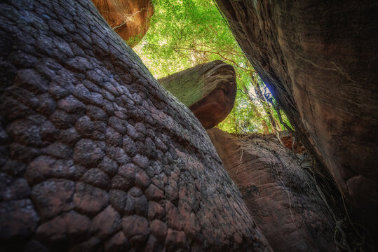The beautiful scenery of the Nakee Cave, at Phu Langka National Park, Ban Phaeng District Nakhon Phanom Province, Thailand