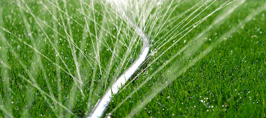 Close-up of jets and splashes, watering the lawn with a hose. Automatic equipment for irrigation...