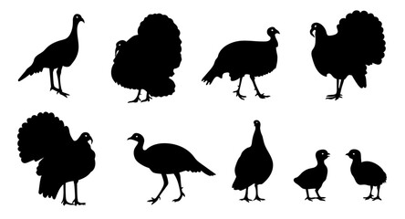 A set of turkey silhouettes on a white background