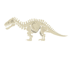 Dinosaur skeleton, vector illustration