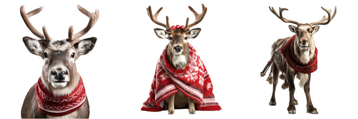 Set of reindeer on transparent background, reindeer wearing christmas clothes, christmas concept, isolated PNG background, Generative ai - obrazy, fototapety, plakaty