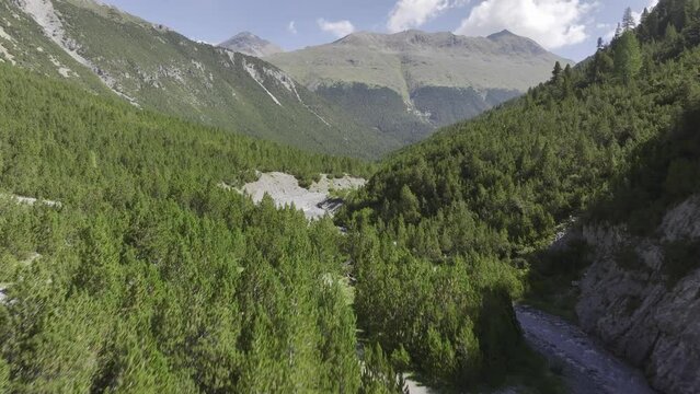 Bridge over a torrent, Aua da Val Mora, near Palueetta, Alp Mora, Muenstertal, Val Muestair, Engadin, Grisons, Switzerland, Europe