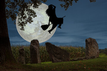 Witch's flight