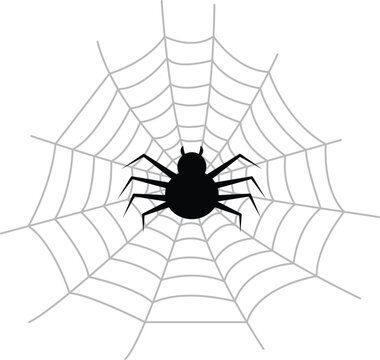 Spider on web vector image or clipart