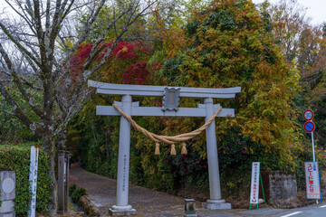 紅葉に映える鳥居風景
Torii scenery that shines in the autumn...