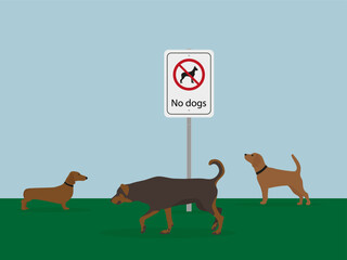 Three dogs are walking on the grass next to a "No dogs" sign
