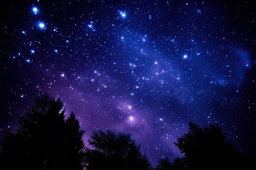 a night sky filled with lots of stars. The concept of astrology and astronomy.