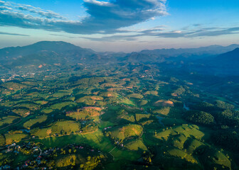 Aerial view of tea plantations on hills in Phu Tho province, Vietnam