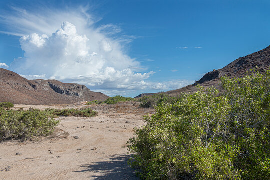 Baja Califronia Sur landscape, beautiful clouds in a blue sky with mountains rocks and vegetation in the desert. Horizontal