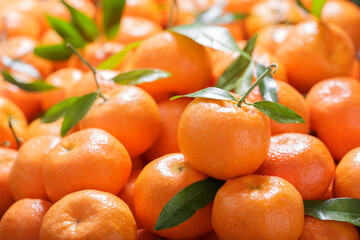 mandarin oranges fruit or tangerines as background