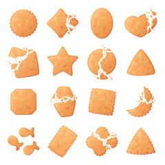 Crunchy Cracker Cookies as Dry Baked Flour Biscuit Vector Set
