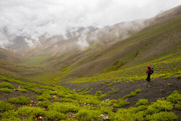View of the oasis of Lingshed on the trans-Zanskar trek, Ladakh, India