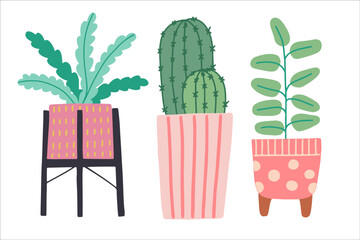 Set of different tropical house plant. Scandinavian cozy home decor. Flat vector cartoon illustration isolated on white background.