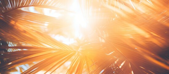 Vintage concept business blog design templates with filtered effect Abstract palm tree in motion against sunlight background dynamic pattern and blurred leaves in the wind - obrazy, fototapety, plakaty