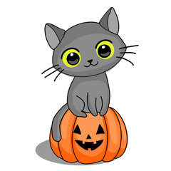 Gatto nero su zucca di halloween