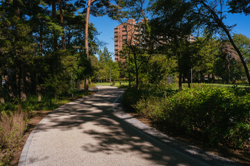 緑に包まれた夏の日の午後の公園