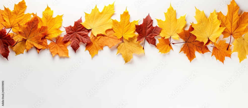 Aufkleber top down view of white background with space for text featuring autumn maple leaves