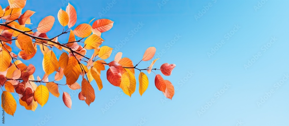 Aufkleber autumn leaves on a tree branch with a blue sky backdrop end your phrase