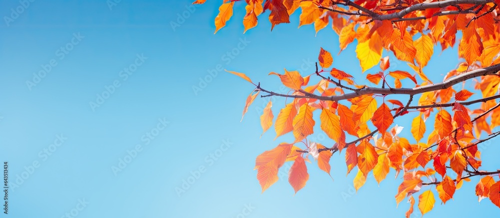 Poster autumn leaves on a tree branch with a blue sky backdrop end your phrase