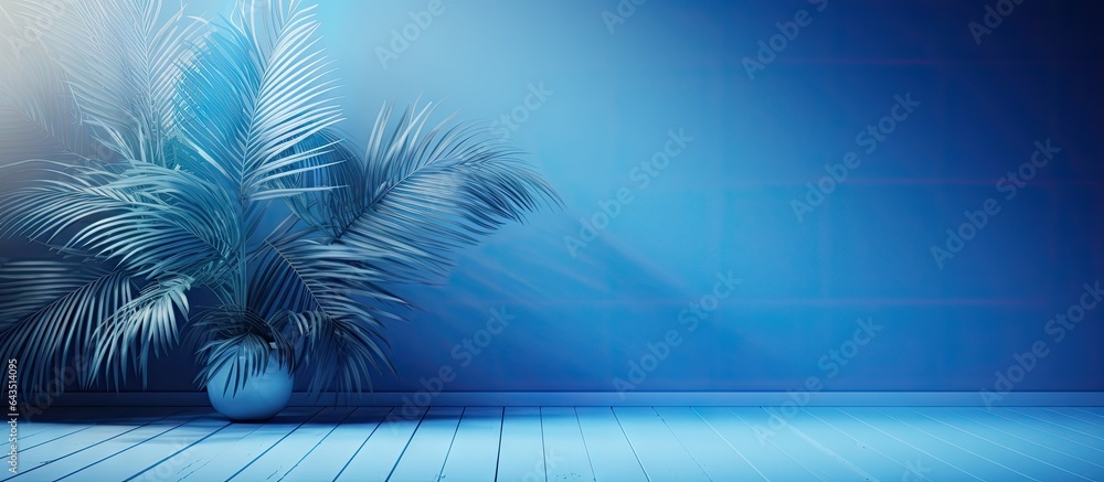 Aufkleber Studio background with blue color gradient empty room with window shadows flowers and palm leaves 3D room with copy space for product presentation