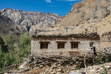 Traditional village scene, trekking in Zanskar, Ladakh, India