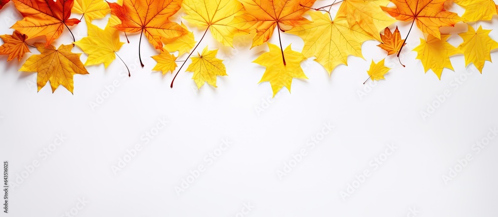 Aufkleber top down view of white background with space for text featuring autumn maple leaves