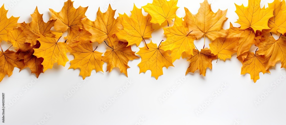 Poster autumn holiday banner featuring a stack of yellow maple leaves on a white background with room for t