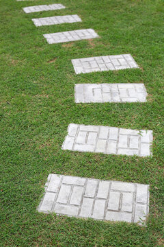 Stone pavement against green grass at home garden.