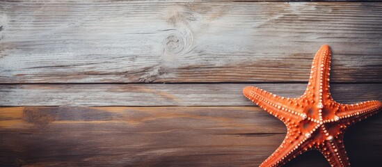 North Sea starfish on old board