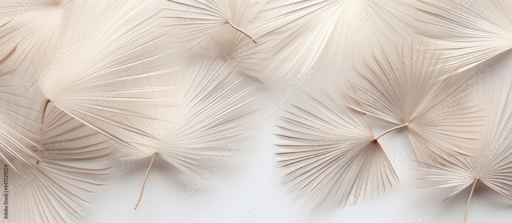 Poster close up view of dried tropical palm leaves top view white backdrop empty space