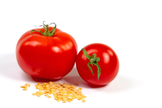 Tomaten und Tomatensamen vor weißem Hintergrund