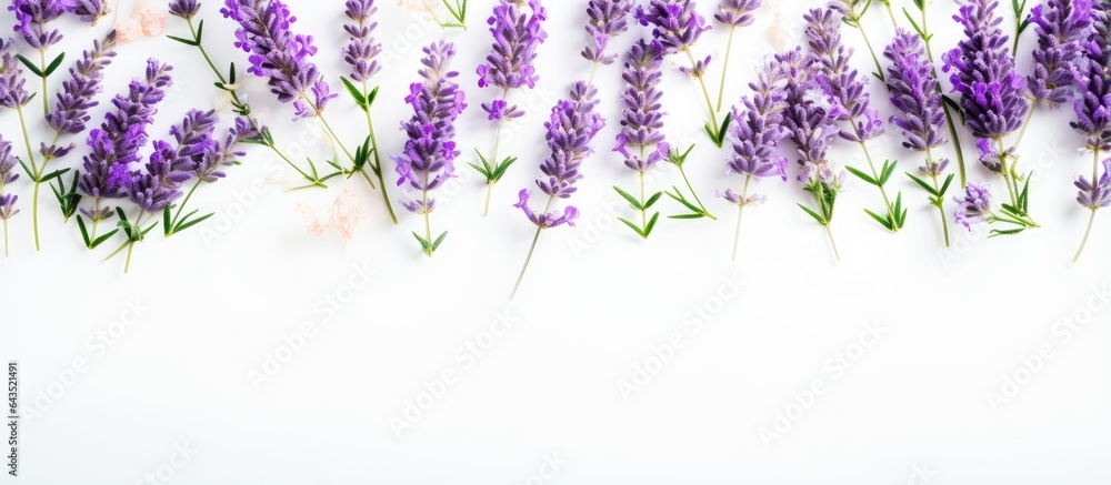 Aufkleber fresh lavender flowers arranged in a square frame on a white background top view with copy space