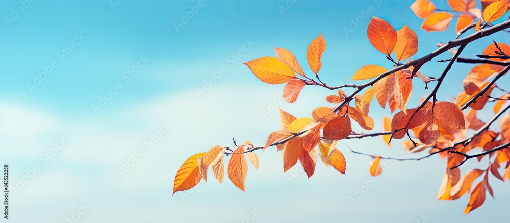 Poster autumn leaves on a tree branch with a blue sky backdrop end your phrase
