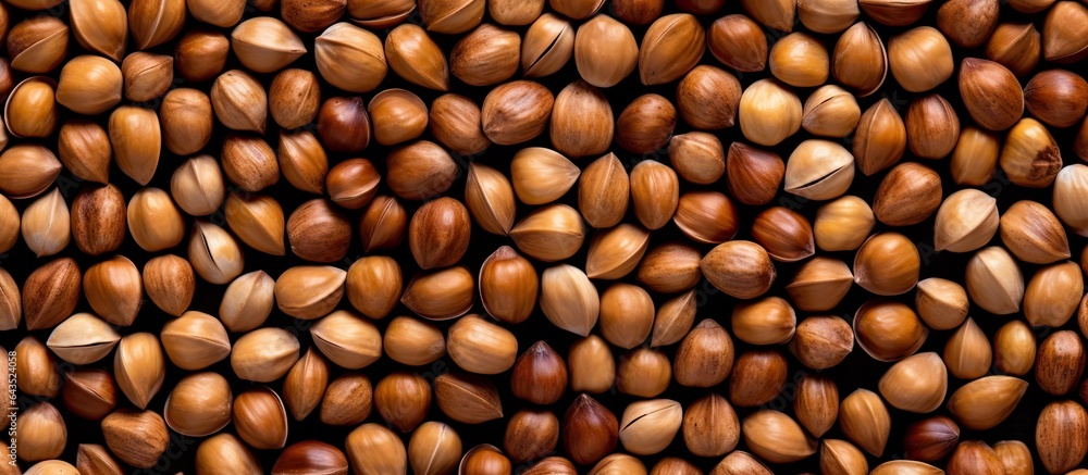 Poster closeup of hazelnut kernels on black background with copy space