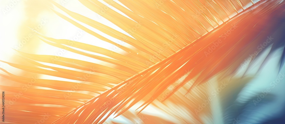 Poster Vintage concept business blog design templates with filtered effect Abstract palm tree in motion against sunlight background dynamic pattern and blurred leaves in the wind