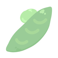 飛び出したお豆イラスト⭐︎PNG