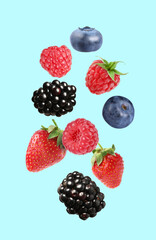 Obraz premium Blackberries, blueberries, strawberries and raspberries falling on light blue background