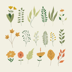 Botanical Leaves Illustration