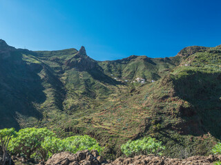 Scenic landscape with Roque de Imada rock and village at hiking trail Barranco de Guarimiar Gorge. Green mountain canyon with palm trees and succulent vegetation. La Gomera, Canary Islands, Spain