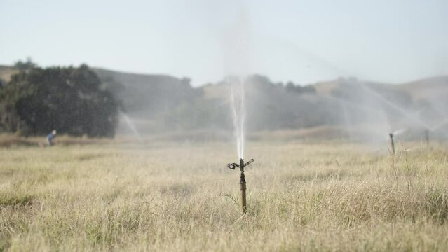 Sprinkler springing back and forth watering a field with a farmer in the background