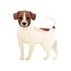 Vector illustration of Terrier. Vector illustration isolated on white.