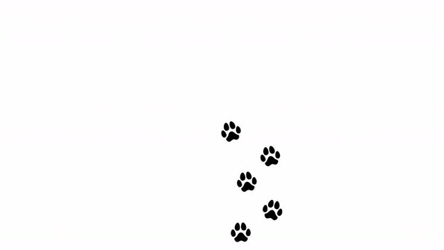 Animation: a trail of black footprints (comics silhuoette shapes) on a white background, a dog walking alone on a path going from bottom to top, vertical orientation.