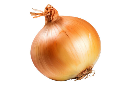 Fresh and organic onion isolated on transparent background in high resolution PNG