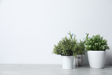 Different artificial potted herbs on light grey table, space for text