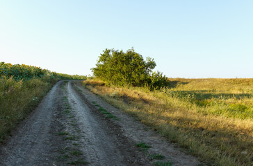 Country road running between fields, on one side by a sunflower field and hills, summer hot day