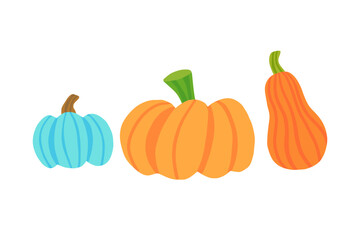 three autumn colorful vector pumpkins set