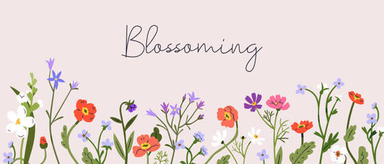 Floral banner background design. Botanical nature card with delicate field flowers, blossomed meadow plants, wildflowers border. Spring and summer blooms, leaves decoration. Flat vector illustration