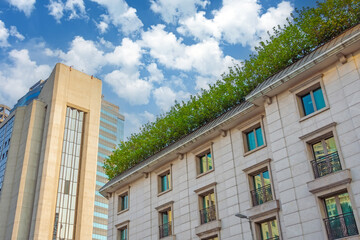 Fototapeta premium Green bushes with leaves on the roof of an old monumental historical building, view upstairs to the facade with windows.