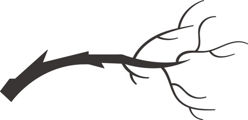 Tree Branch Silhouette